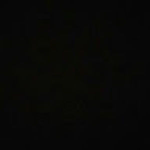 Meet your Posher, Ronald